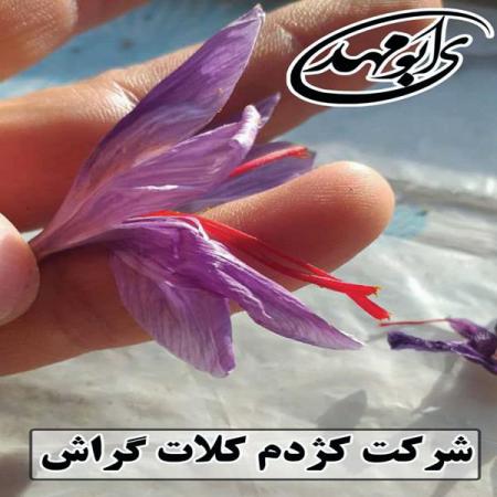 خواص دارویی کروسین one درجه یک زعفران قائنات