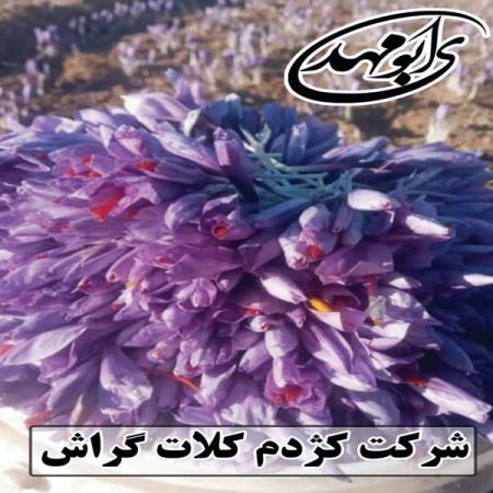 خصوصیات انواع کروسین زعفران خالص