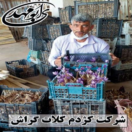 قیمت عمده زعفران صادراتی درجه یک